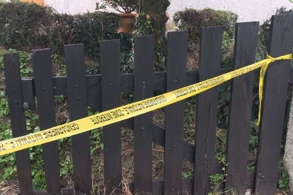 Le corps de la retraitée a été retrouvé dans son jardin, enterré près de cette haie 