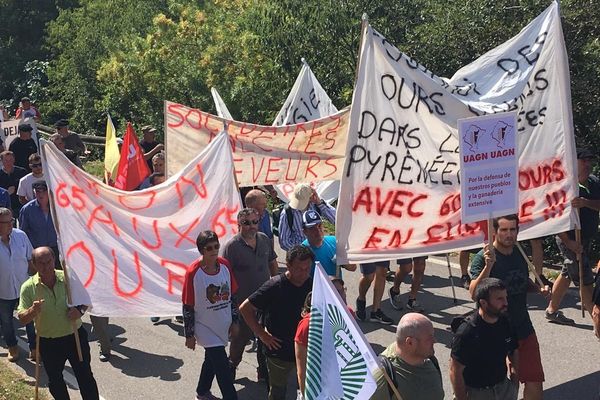 Manifestation des éleveurs et opposants à l'introduction de l'ours dans les Pyrénées ce jeudi à l'Ainsa (Espagne)