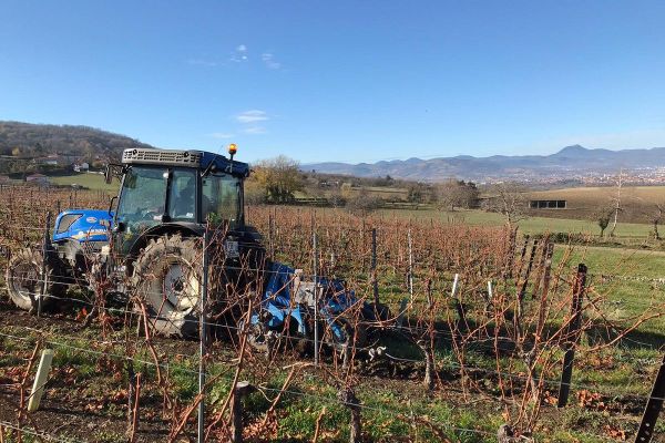 Dans le Puy-de-Dôme, la période des fêtes de fin d'année, d'ordinaire très importante pour les vignerons, se trouve perturbée par le confinement.