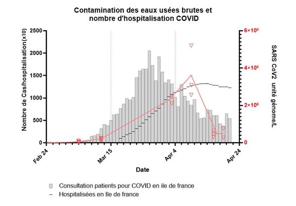 coronavirus ile de france