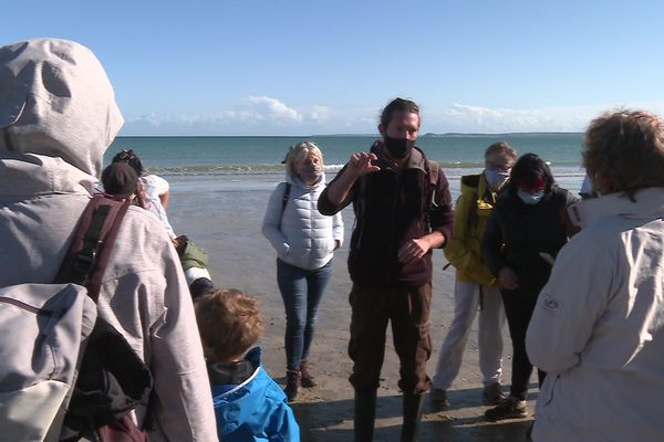 Florian Bargat, animateur et naturaliste pour le Festival Baie des Sciences, livre les secrets des coquillages et autres petites bêtes de la baie de Saint-Brieuc (Côtes-d'Armor).