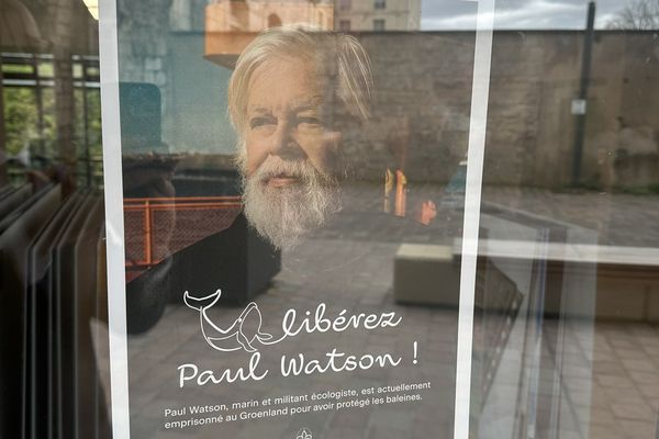 Yann Galut, maire de Bourges, affiche son soutien à Paul Watson, le militant de Sea Shepherd, emprisonné au Groenland