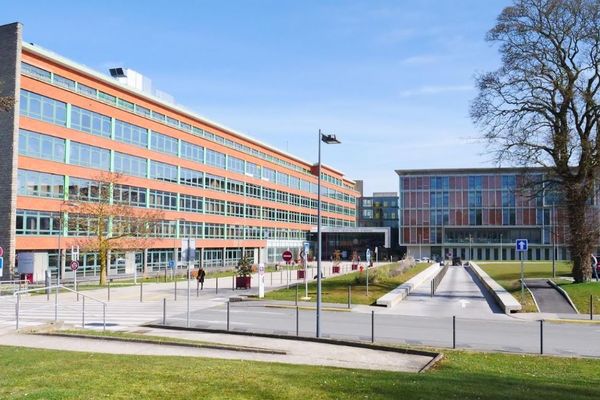 L'Hôpital d'Arras victime de punaises de lit.