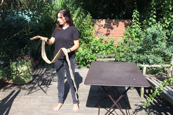 L'impressionnante mue trouvée dans ce jardin de particulier à Toulouse mesure 2,40 mètres