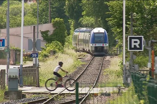 La ligne a été prolongée jusqu'à Metzeral en 1893.