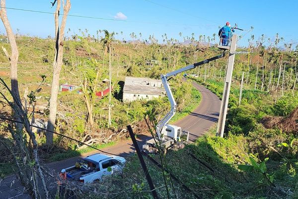 À la suite du passage du cyclone Chido à Mayotte, dix-sept agents d'EDF Corse ont rejoint l'archipel français pour participer à la remise en état du réseau électrique.