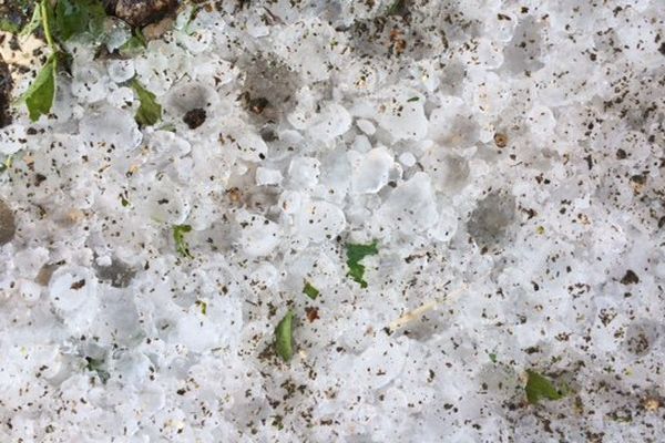 Une violente pluie de grêle s'est abattue sur la région de Cognac.