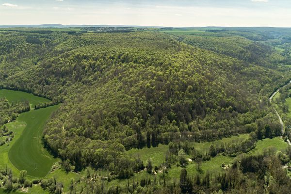 Le « coude » de la Val-Suzon, vue par le Belvedère de St. Foy. La particulière conformation topographique de la Val-Suzon est à l'origine d'une mosaïque de milieu différent qui se juxtapose sur des petites surfaces. En effet, le Suzon a entaillé la vallée. L'érosion au fil du temps a créé des pentes, plus ou moins douces, appelée Combes. Presque toutes les combes de Val-Suzon présentent des petites sources, qui ont contribué a entailler encore plus le paysage. Au niveau de la biodiversité, cette topographie, très découpée, avec un changement complet d'orientation au niveau du "coude" de la vallée, a créé des oppositions des versants très fortes, ainsi que nombreuses variations d'exposition et d'altitude, contribuant à la formation des milieux très différentes sur des distances très courtes.