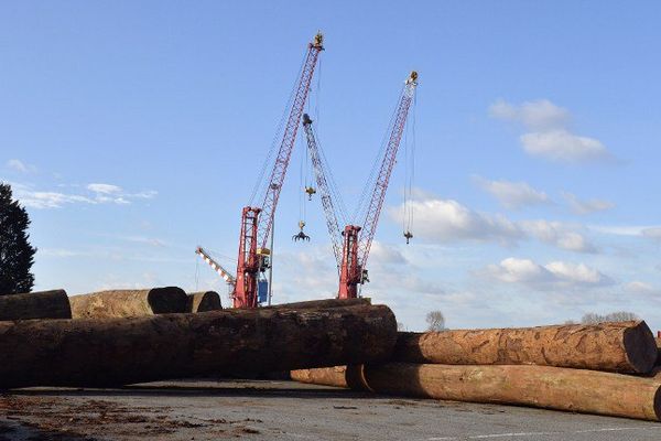 Le port de Nantes Saint-Nazaire a annoncé jeudi une légère hausse de son trafic de 0,3% en 2016