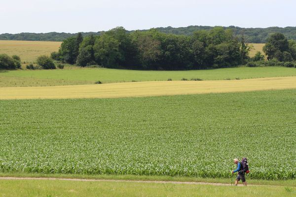 Un pèlerin sur la Via Francigena