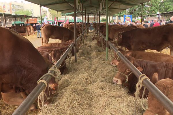 Le contexte reste très difficile pour les agriculteurs.