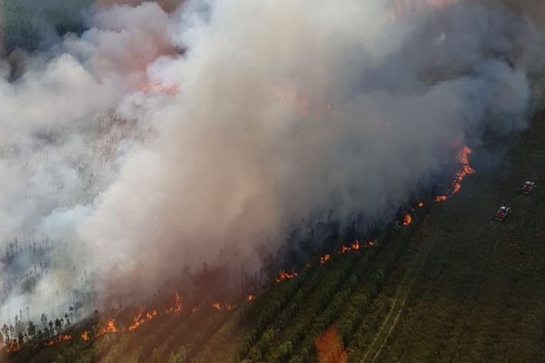 Les flammes ont ravagé une vingtaine d'hectares