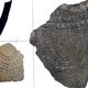 Restes de céramique d'Espluga de Puyascada (La Fova, Huesca) analysés dans l'étude.