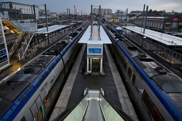 Lundi 13 janvier, la circulation des TER et des TGV s'améliore en région Auvergne-Rhône-Alpes.