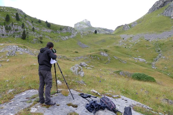 Suivi des familles de marmottes dans les Pyrénées-Atlantiques par un observateur des Sentinelles du Climat. 