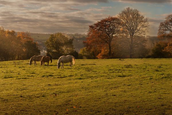 Dans l'Orne, les couleurs de l'automne subliment les paysages du Perche.