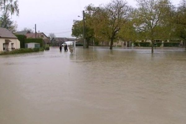 Dans la plaine de la Saône, l'eau est montée très vite, inondant des zones qui sont souvent touchées par des épisodes pluvieux.