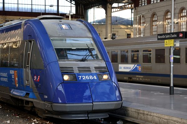 Le TER entre Chartres et Tours était surchargé, la faute à une automotrice manquante.