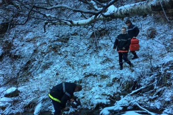 Dans le Puy-de-Dôme, les pompiers restent vigilants aprés l'incendie qui a détruit 25 hectares de végétation dans la vallée de Chaudefour.