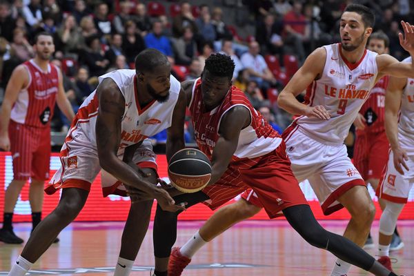 Basket Pro B / Le Havre - Saint-Chamond le 27 janvier 2018