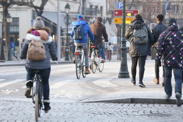 A Strasbourg, le nombre de vélos a augmenté de 20 à 25% entre 2020 et 2024.