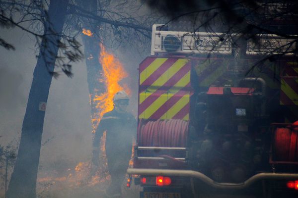 Les massifs de la Clape, des Pinèdes Crémades et de Fontfroide sont fermés du 12 juillet au 31 août 2024 pour prévenir le risque incendie. Image d'illustration.