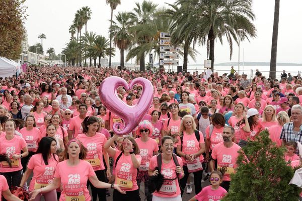 Grâce aux 3450 personnes présentes, l'association Odyssea a pu collecter 29 000 euros pour les acteurs locaux de lutte contre le cancer du sein.