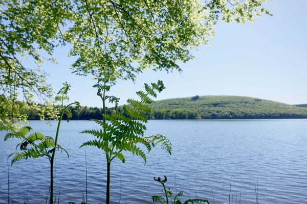 Le lac de Vassivière