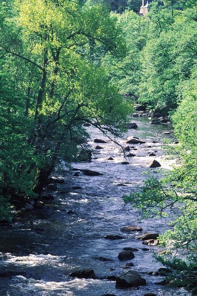 Le Bès est la plus longue rivière de l’Aubrac.