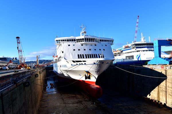 Les eaux de carénage des navires contiennent notamment des biocides issus des peintures, destinées à limiter le développement d'algues et mollusques sur la coque.