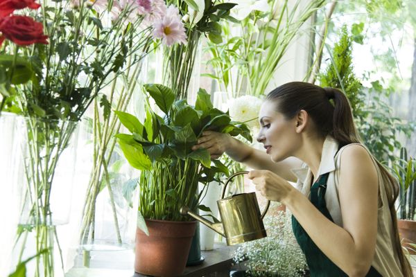 Les trucs et astuces de Jean-Claude Schmitt, jardinier pour sauver ses plantes.