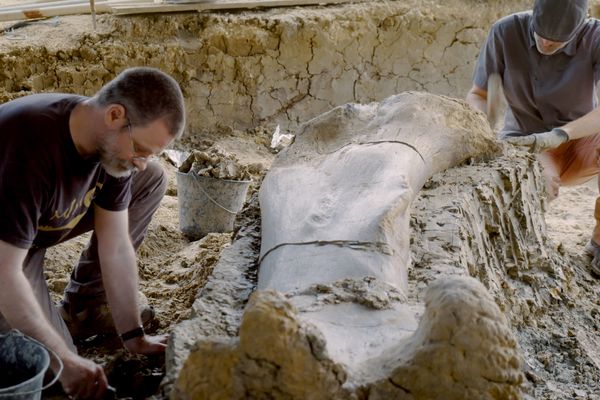 Les paléontologues et chercheurs d'Angeac-Charente