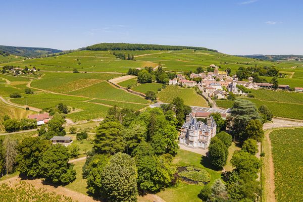 La colline de Corton, sur la côte viticole de Bourgogne