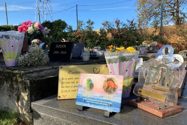 Dans ce cimetière, on célèbre l'attachement avec son animal de compagnie, comme un membre de la famille dont on aime se souvenir, après la mort.