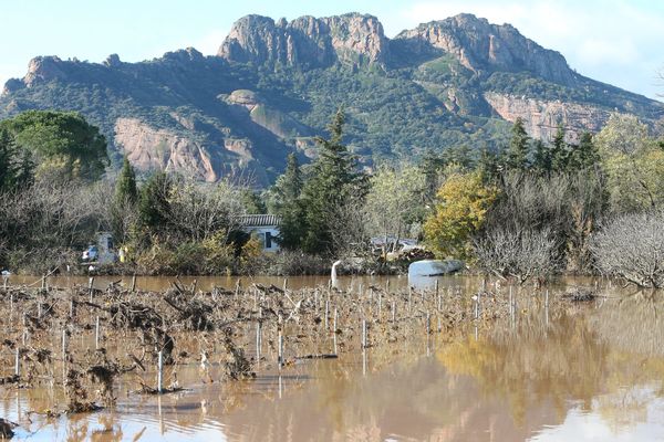 Le caractère de calamité agricole est reconnu pour de nombreuses cultures dont la vigne.