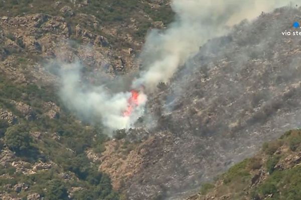 20 hectares de végétations ont déjà brûlé ce vendredi vers 16h30.