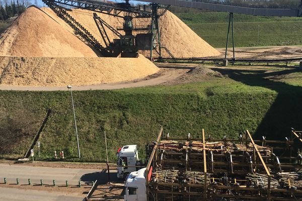 L'usine utilise 1,4 millions de tonnes de bois par an !...