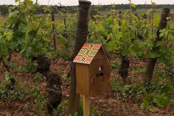 Notiphy Box : des boîtes à l'entrée des parcelles de vignes qui ressemblent à des maisons d'oiseaux