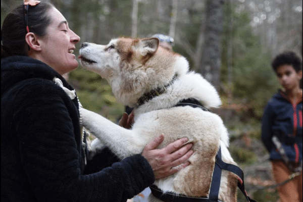 Marine Baudouin, musheuse à Bois d'Amont (Jura), et sa meute de huskies cherchent un nouveau domicile.