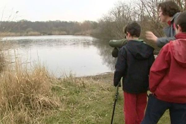 Les visites sont organisées les dimanches et jours fériés. 