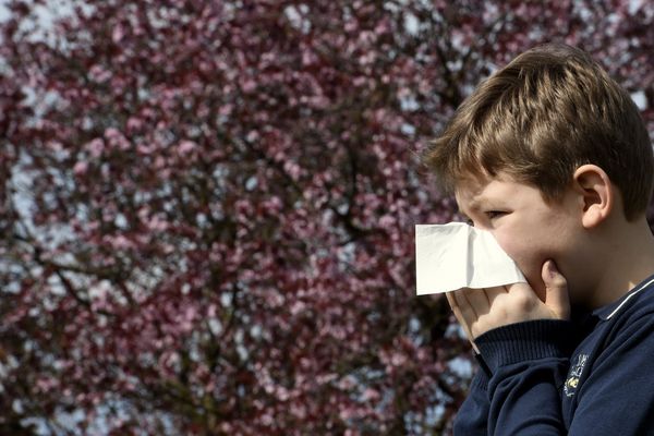 En 2017, une personne sur quatre en France est concernée par des allergies respiratoires.