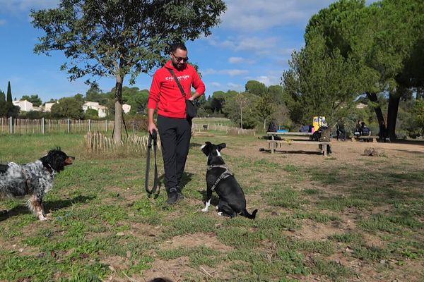 Pour apprendre le langage de son animal, des séances d'éducation canine sont proposées gratuitement chaque samedi gratuitement à Montpellier dans l'Hérault jusqu'au 7 décembre.