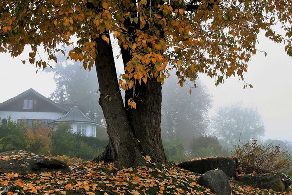 Les nuages, la grisaille, la pluie...C'est l'automne !