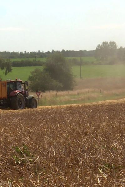 En Lorraine, une année difficile pour les agriculteurs en raison des conditions météorologique et plus particulièrement de la pluie.