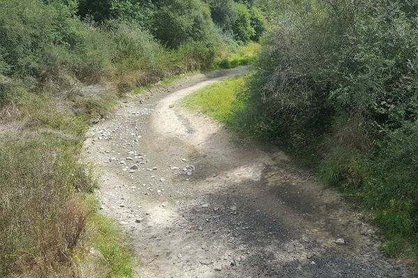 En 2019, la sécheresse avait mis a sec des cours d'eau en Limousin