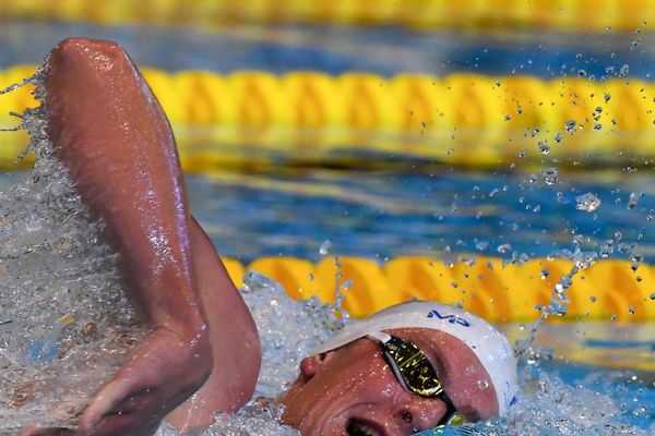 Le montpellièrain David Aubry en avril dernier à Rennes, lors des 400 mètres nage libre des championnats de France de natation.