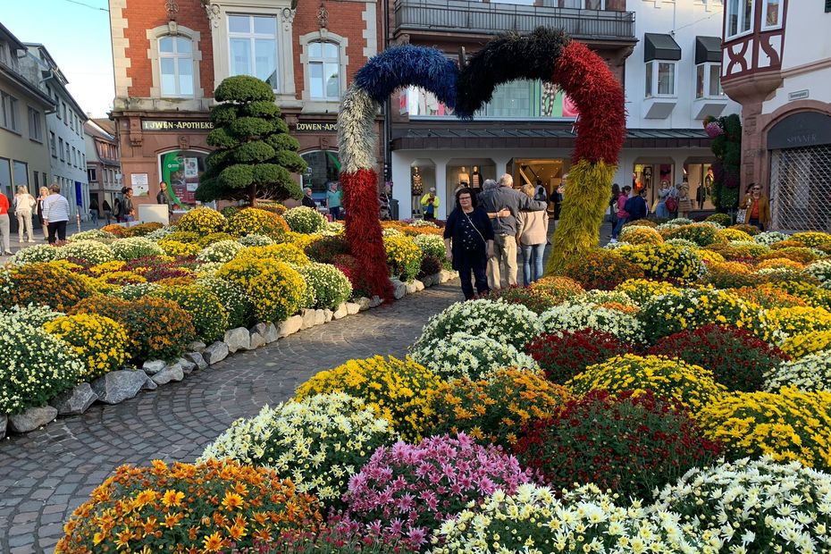 Freundschaft zur Feier der großen Prozession des Chrysanthemenfestes in Lahar