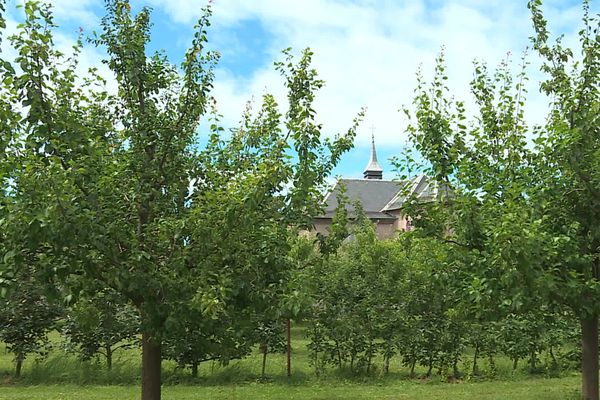 Le but du concours des arbres de la Sainte Catherine : encourager les habitants à planter et développer ainsi les ceintures vertes. 