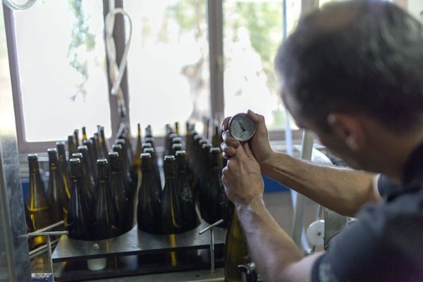 La mise en bouteille du vin commence normalement à cette période de l'année.