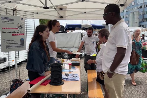 Devant l'afflux de moustiques tigres à Bischheim, la mairie a décidé de créer un stand sur le marché.